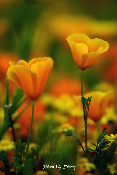 photo class 3-22-10 049AA.jpg