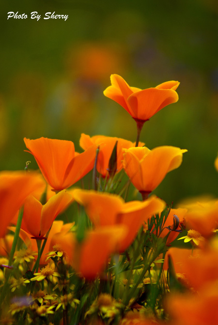 photo class 3-22-10 063AA.jpg