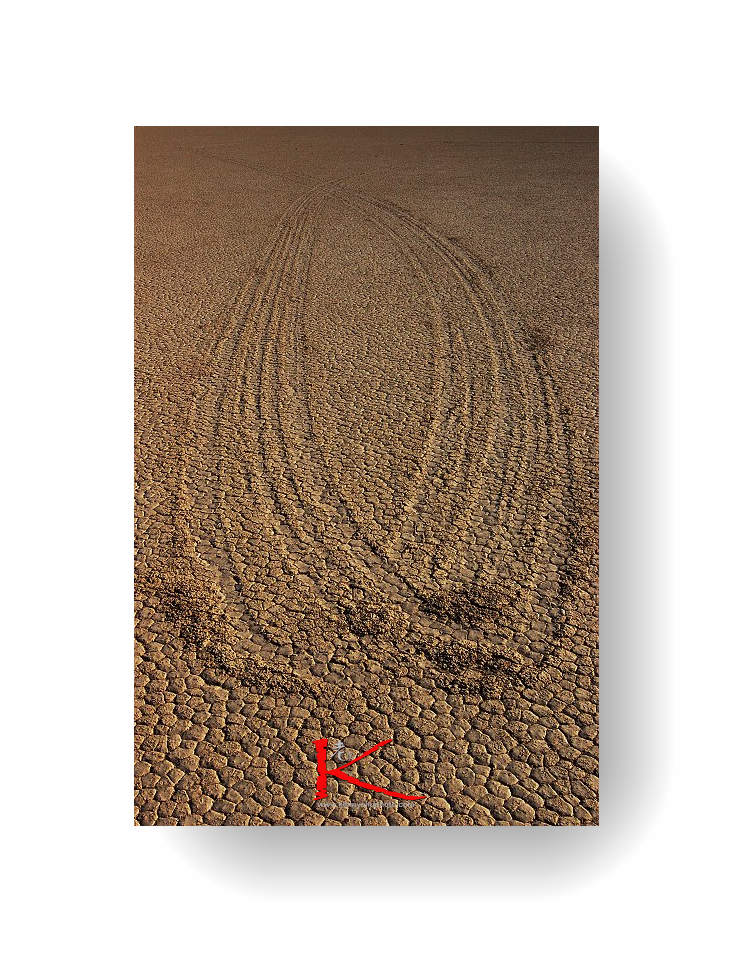 DSC_5994 700x465.jpg