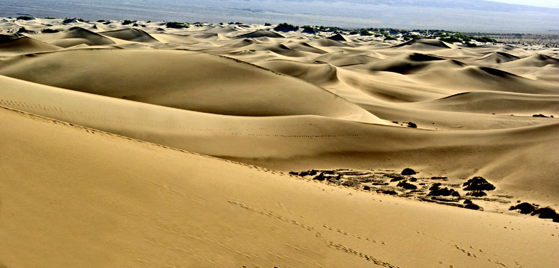 death valley 366AAc.jpg