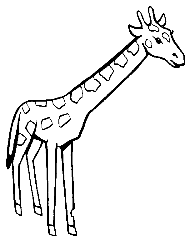 giraffe 11.gif