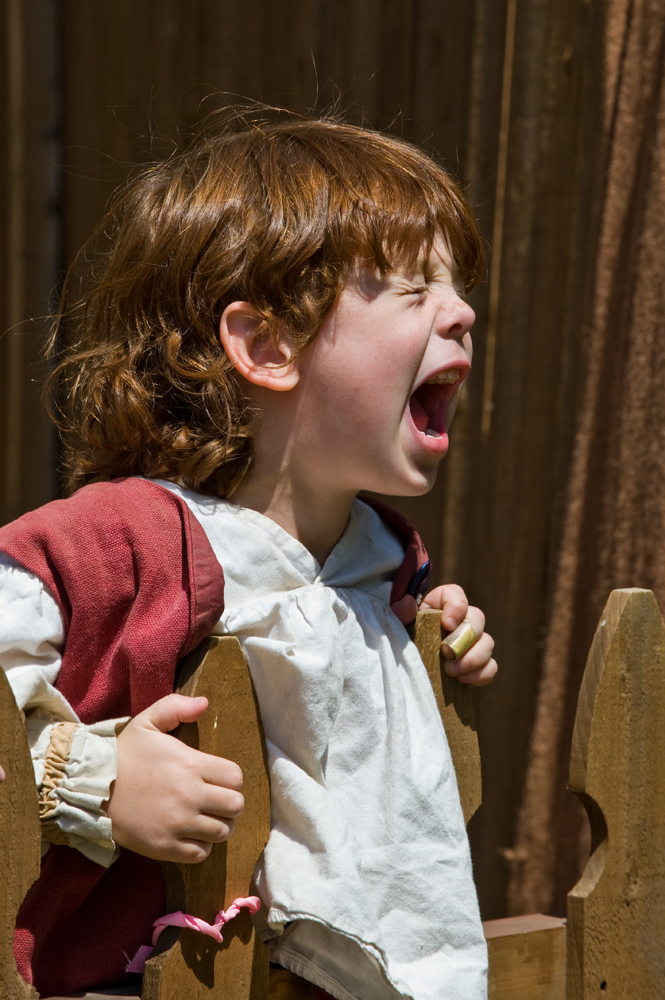 2010 Renaissance 3.jpg