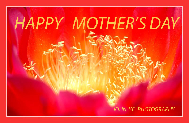 20071219_576891128b6e22555402npcFC8566666a6kT9 copy.jpg