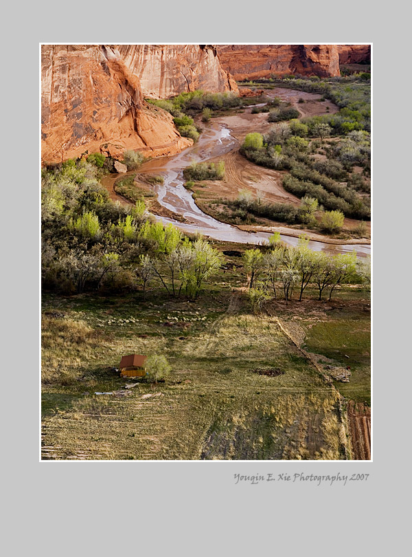 Tseyi_9997 B Framed.jpg