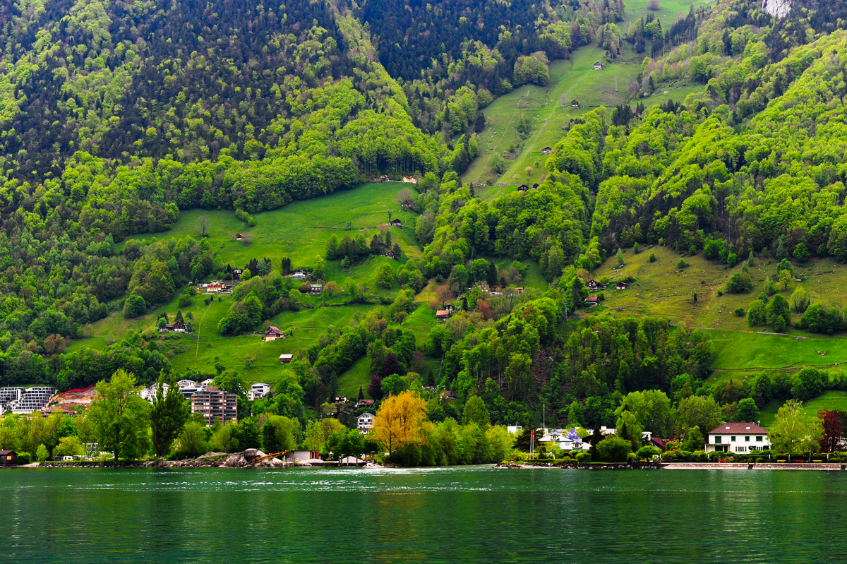 lake luzern 3.jpg