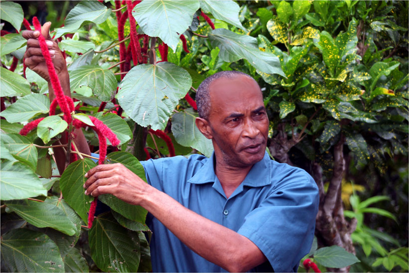 09-26-09 055.jpga.jpg