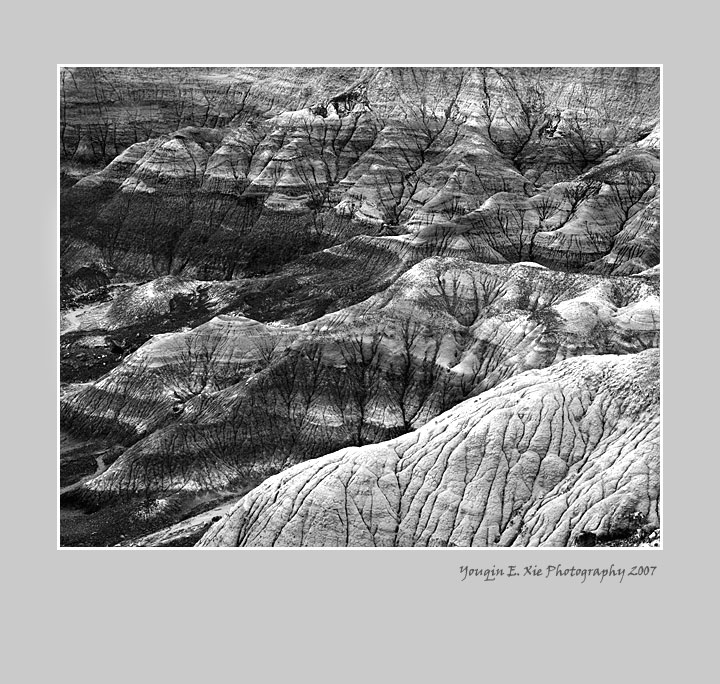 BlueMesa_0183-BW-Framed.jpg