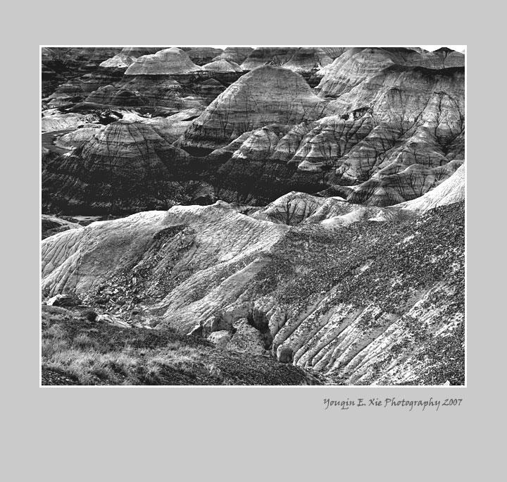 BlueMesa_0189-BW-Framed.jpg
