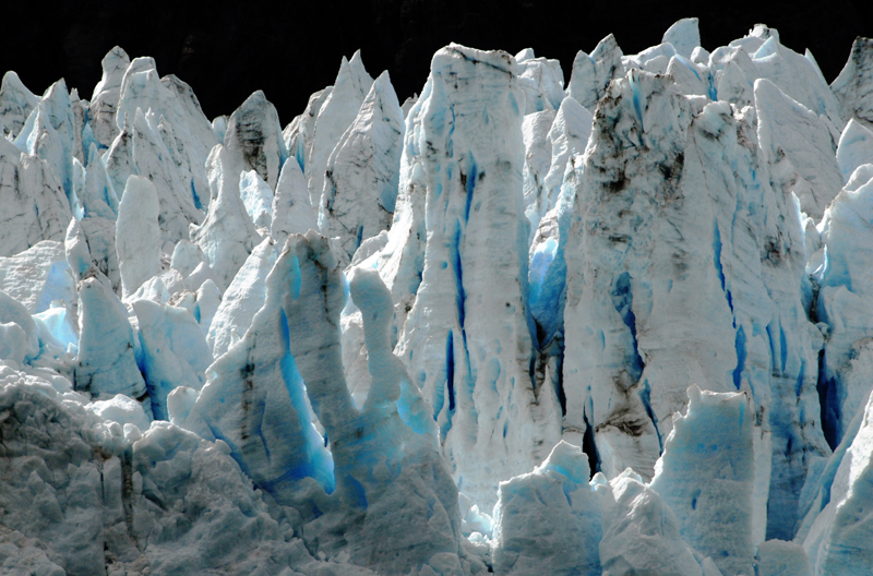 04_galcier bay national park 4.jpg