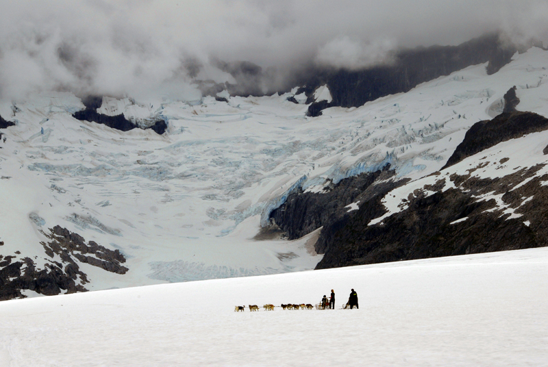 herbert glacier dog sledding.jpg