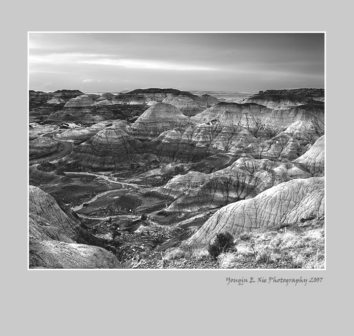 BlueMesa_0204BW-Framed.jpg