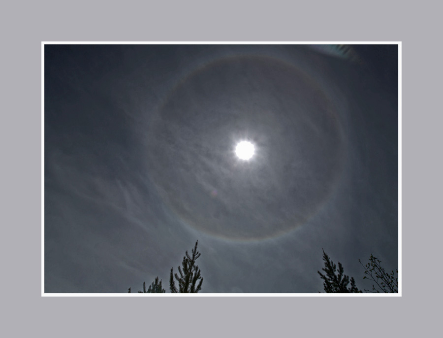 yellowstone 3  022a.jpg