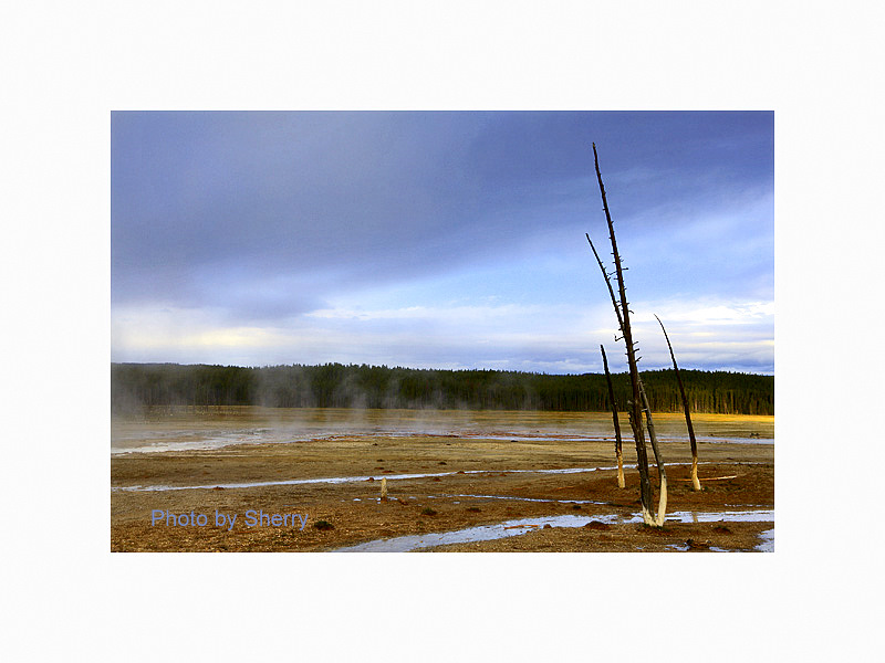 yellow part 5a 057AB.jpg