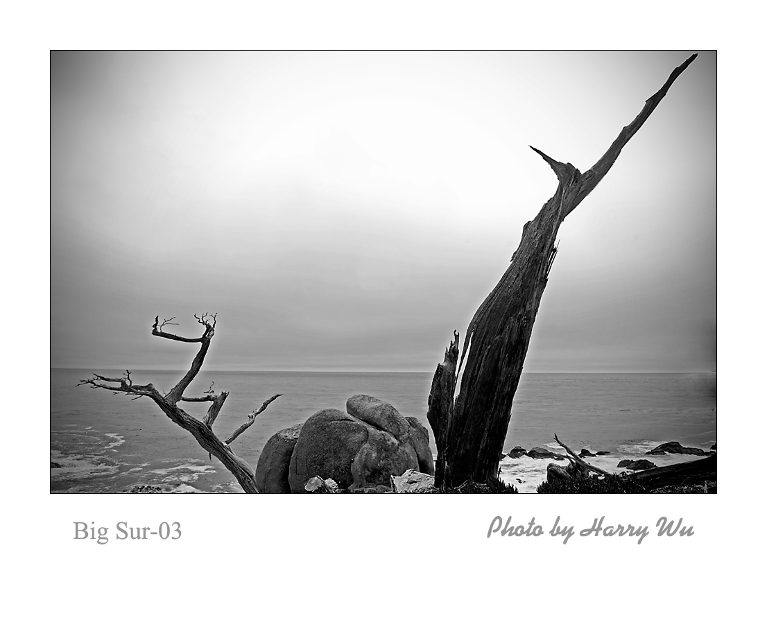 Big-Sur-03.jpg
