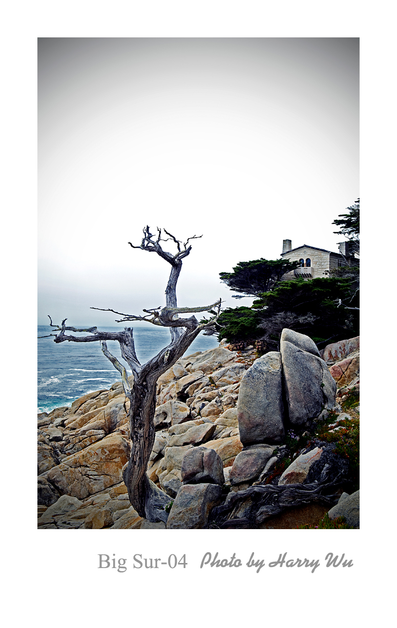 Big-Sur-04.jpg
