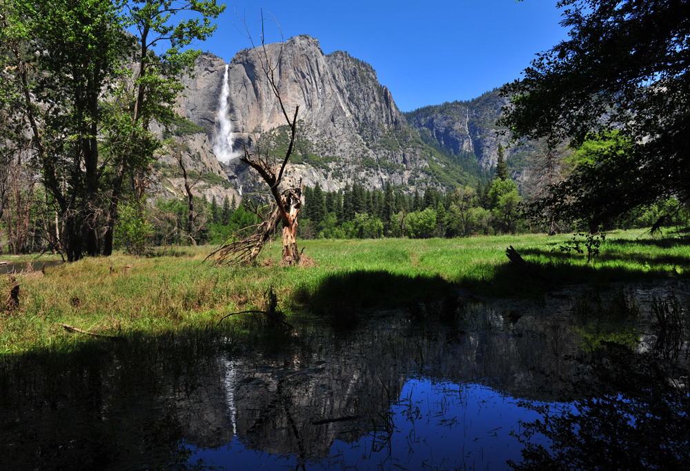 meadow in front of yosemite fall sm.jpg