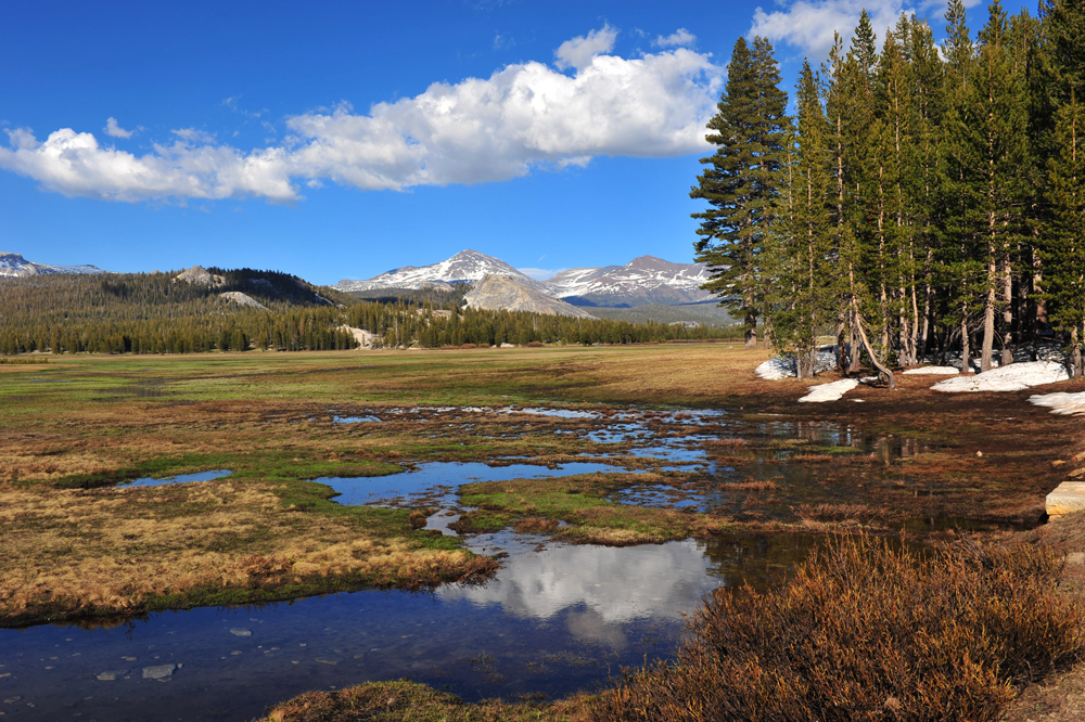 Tuolumne Meadows on Rt120 sm.jpg