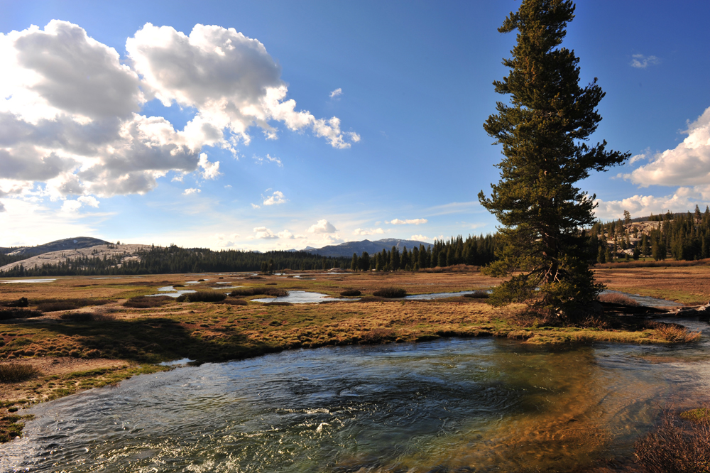 Tuolumne Meadows swelling stream on Rt120 sm.jpg