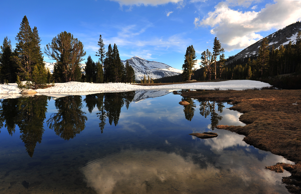 temp pond near eastern entrance on Rt120 sm.jpg
