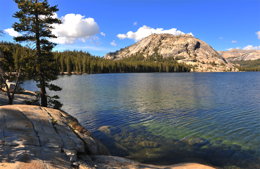 Tenaya Lake_sm.jpg