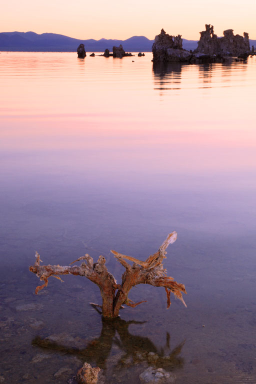 2010-07-04a-South Tofa_033s.jpg