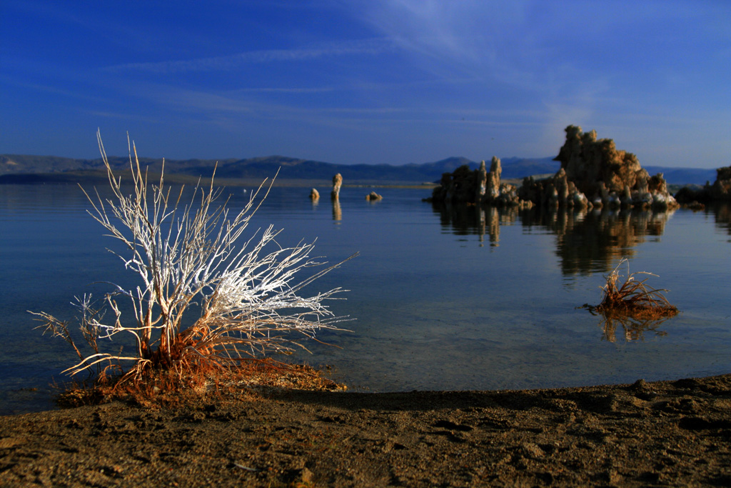 2007-05-26-South Tufa_019a.jpg