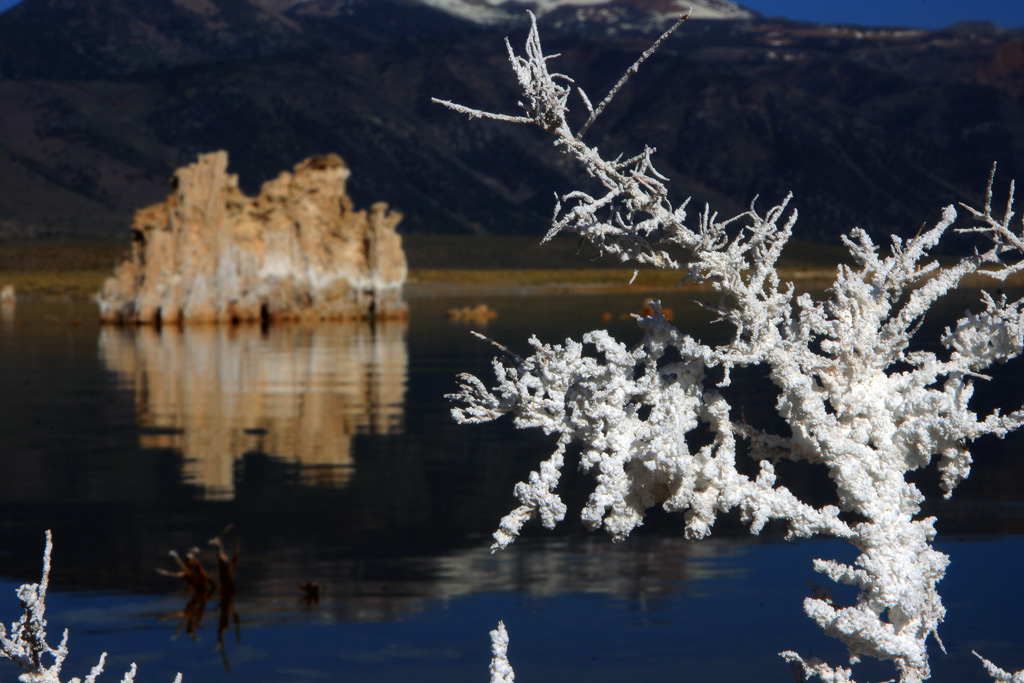 2007-05-26-South Tufa_081a.jpg