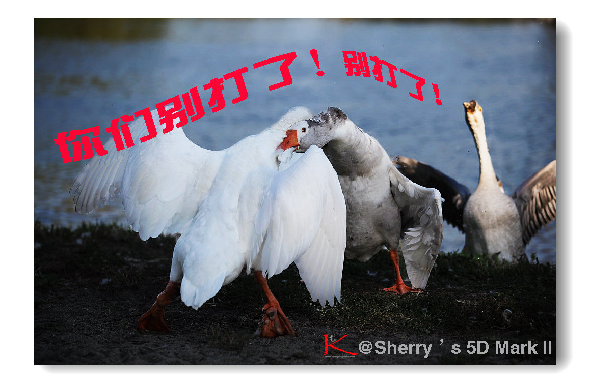 sherry_7-02-2010_029 A.jpg