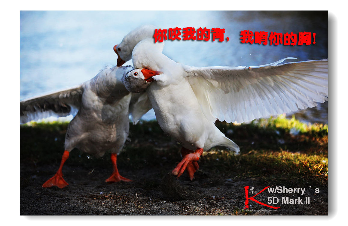 sherry_7-02-2010_026 A1024683.jpg