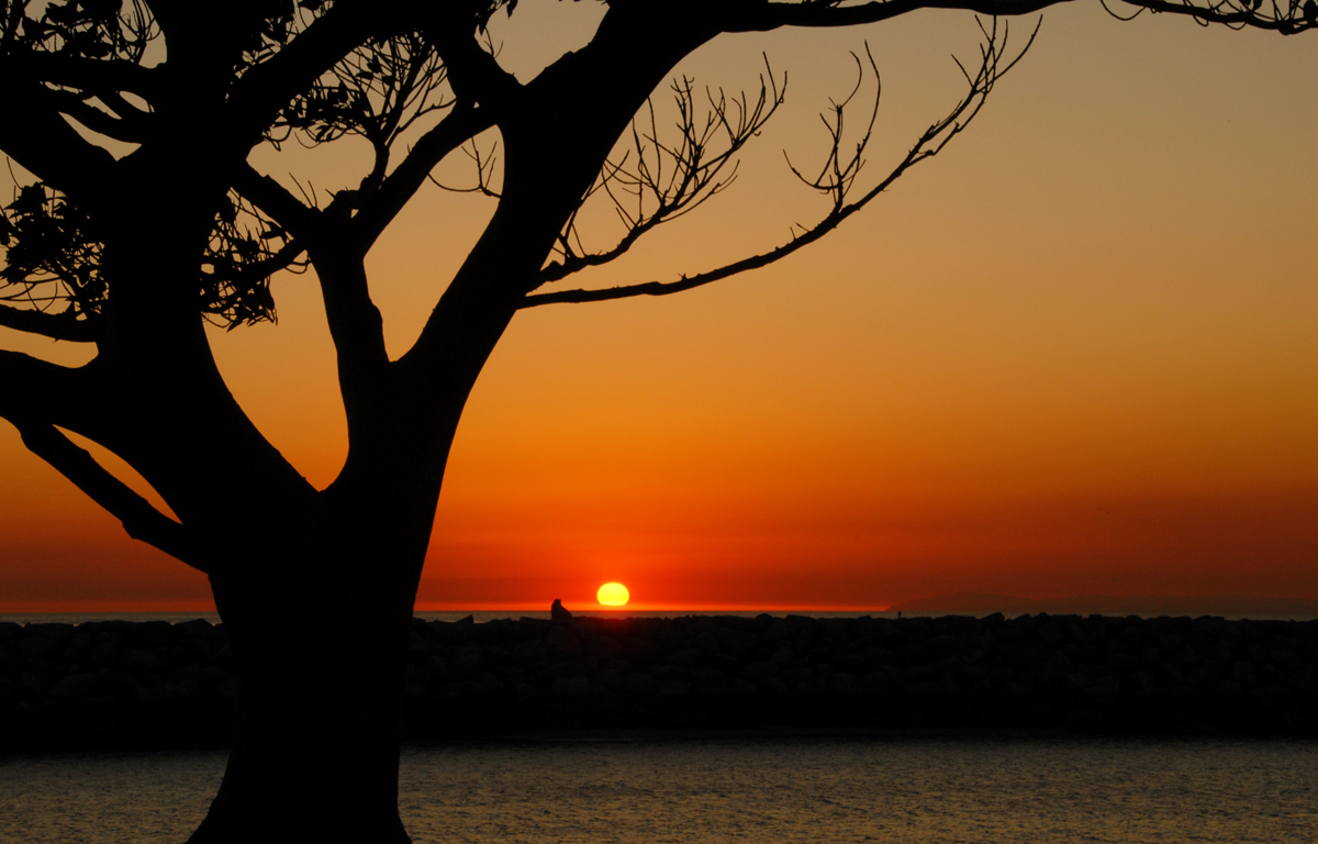 dana harbor sunset_012909.jpg