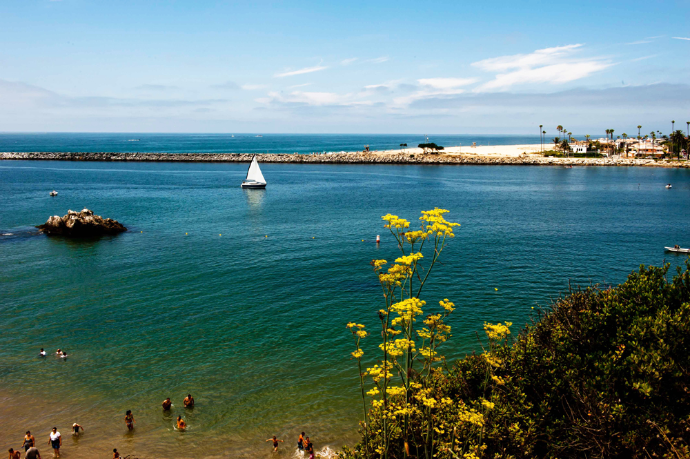 corona del mar_080310.jpg