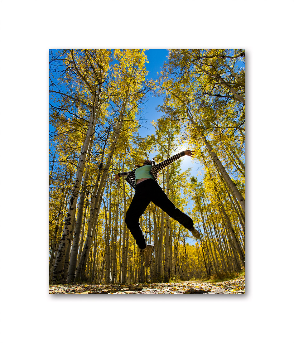 Aspen Fall Foliage 710.jpg