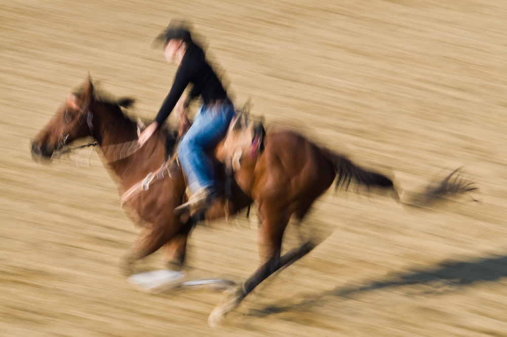 Panning Rodeo 3.jpg