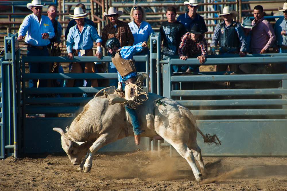 Bull Riding 1.jpg