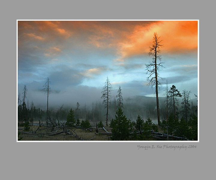 Lower-Geyser-Basin_Framed.jpg