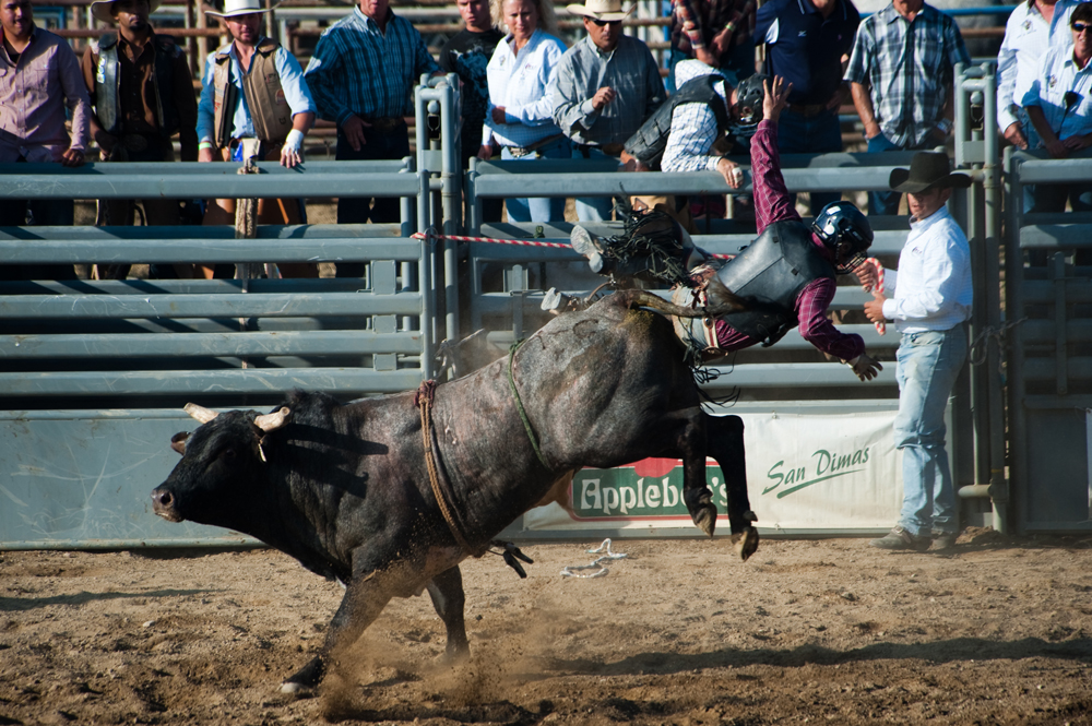 Bull Riding 3.jpg