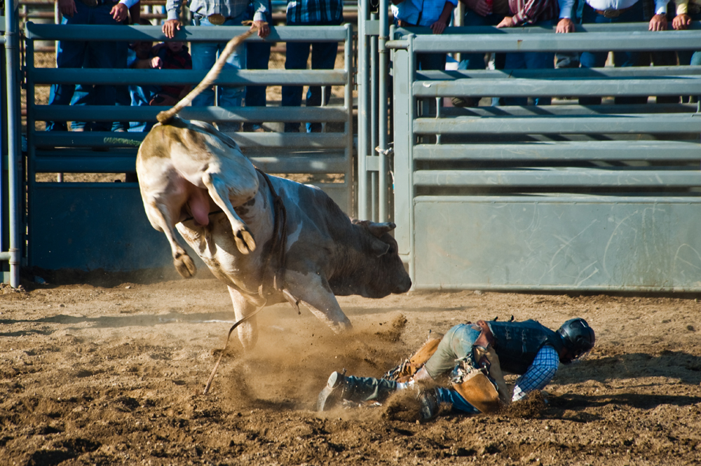 Bull Riding 4.jpg