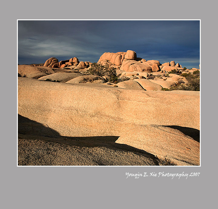 JTNP_MG_9210-Framed.jpg