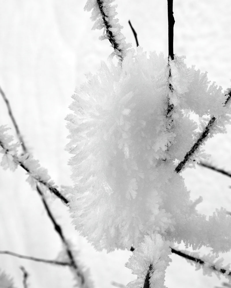 2011-01-08e-Merced River-003s.jpg