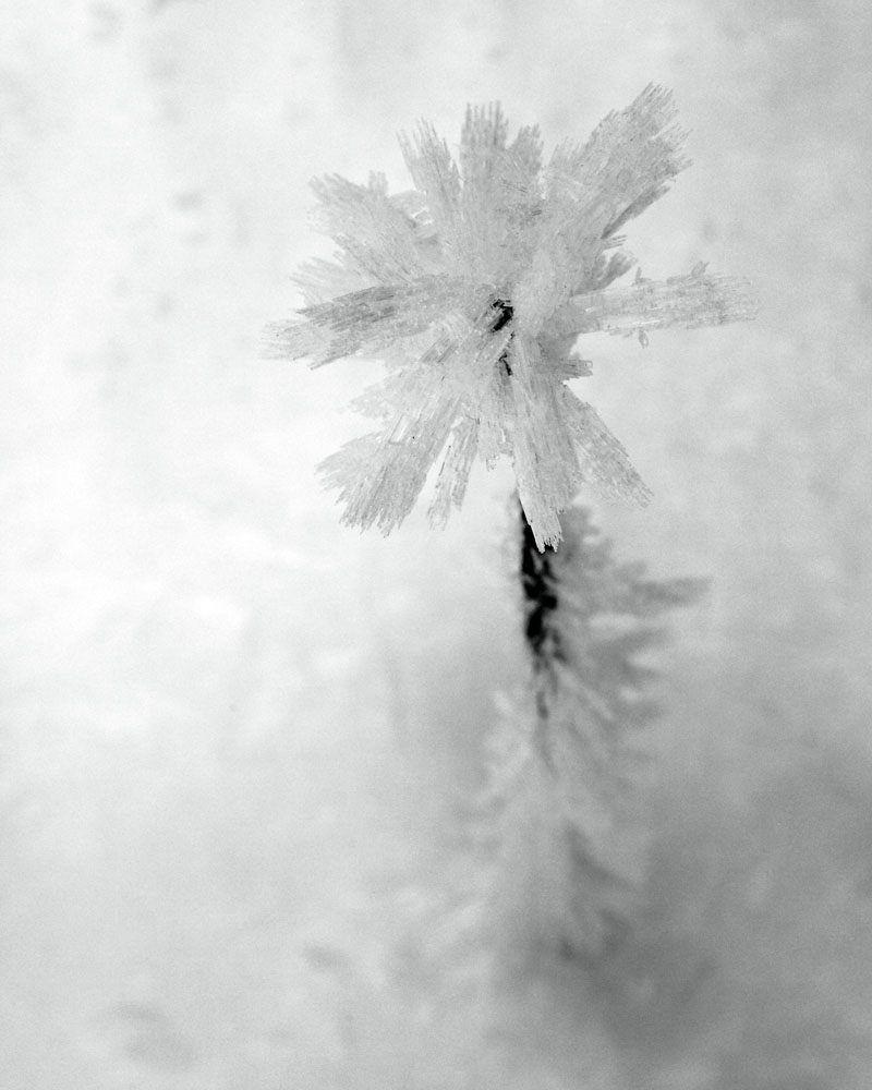 2011-01-08e-Merced River-015s.jpg