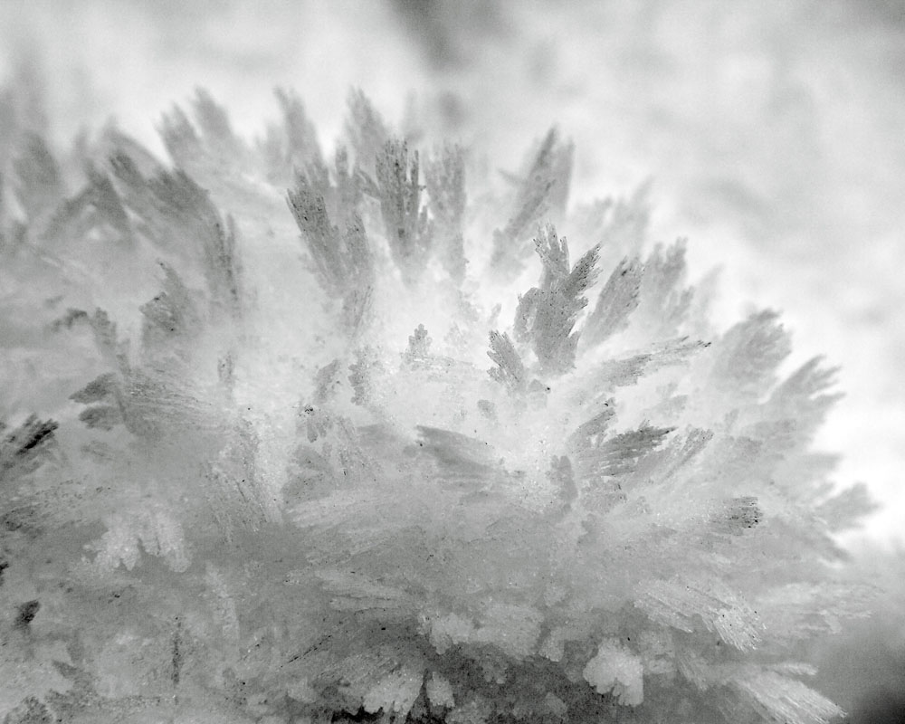 2011-01-08f-Merced River w EC-017s.jpg