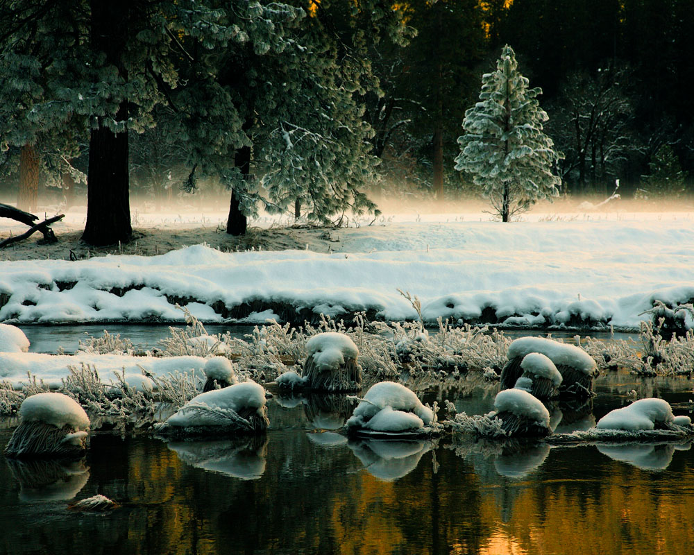 2011-01-08d-Merced River-029s.jpg
