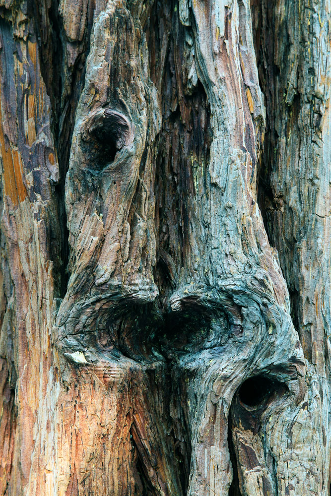 2011-01-09e-Yosemite Falls-004s.jpg