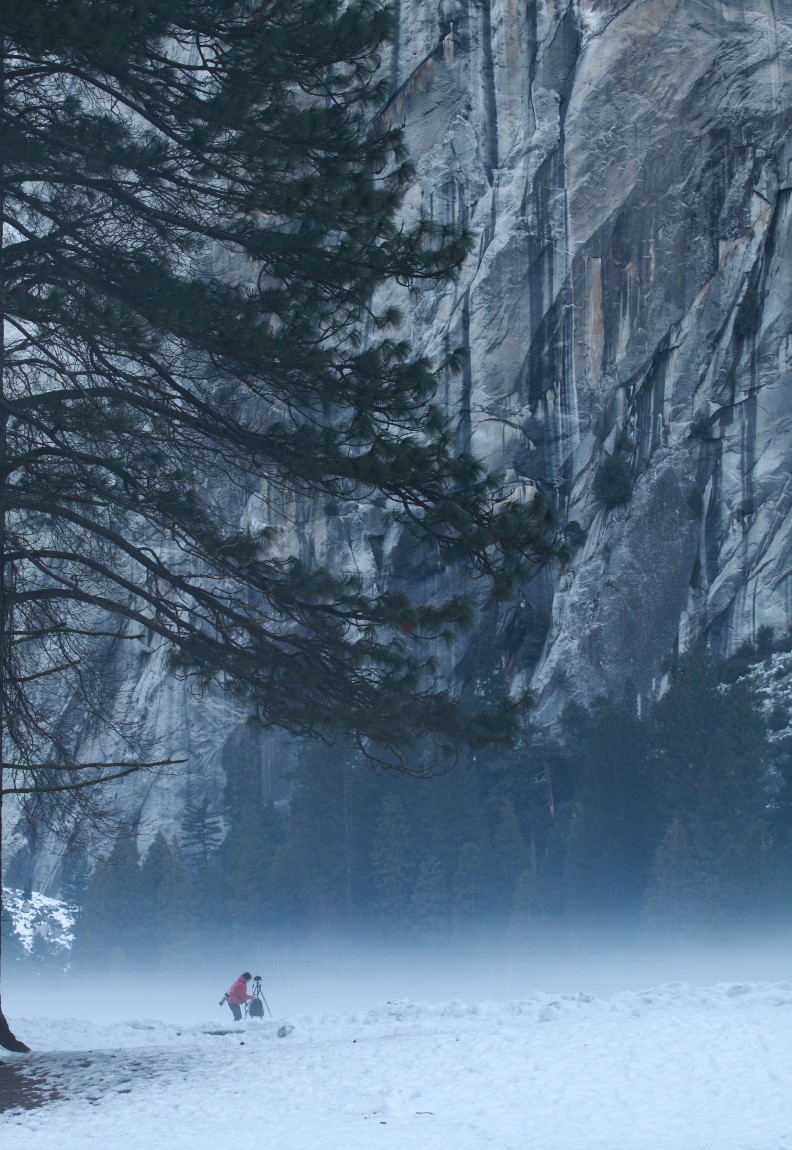 2011_01_15_Yosemite238 (792 x 1150).jpg