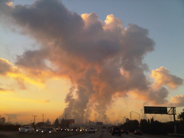 IMG00026-20110214-0648 (600 x 450).jpg