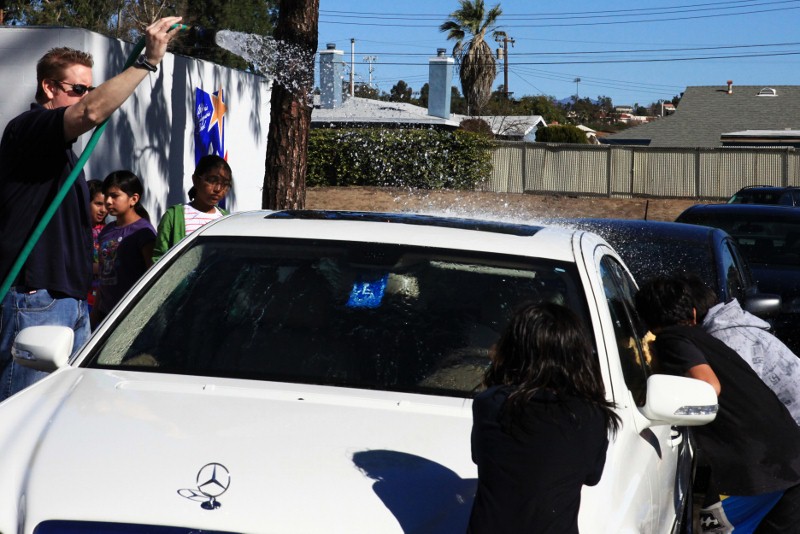 IMG_8142_(800x534) (1).jpg