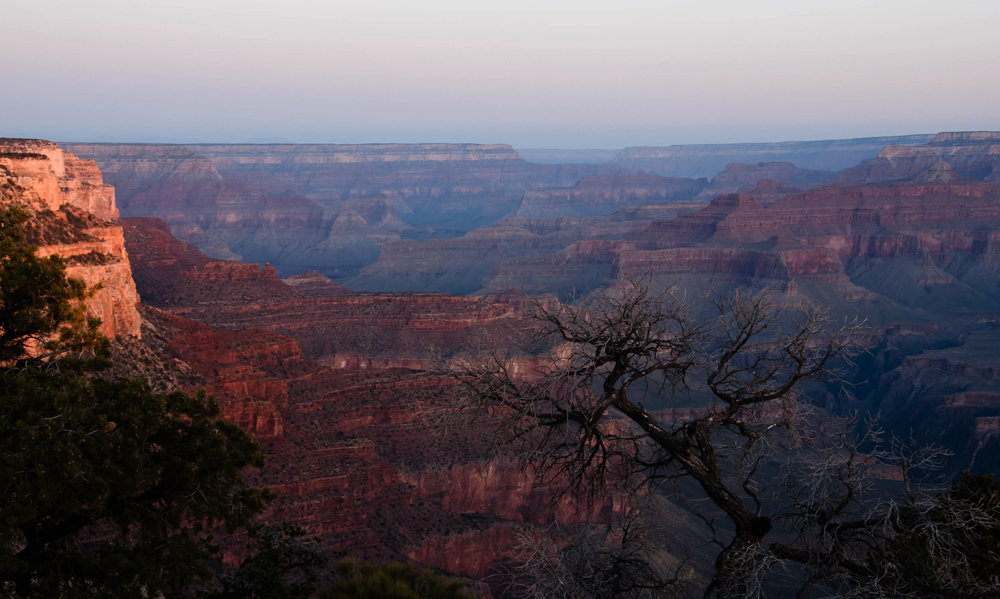 Before Sunlight hits the canyon copy.jpg