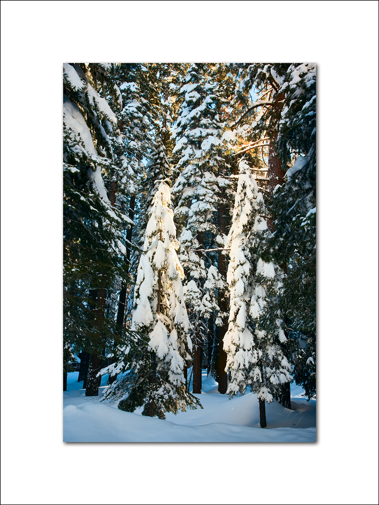 2011 Yosemite 064.jpg