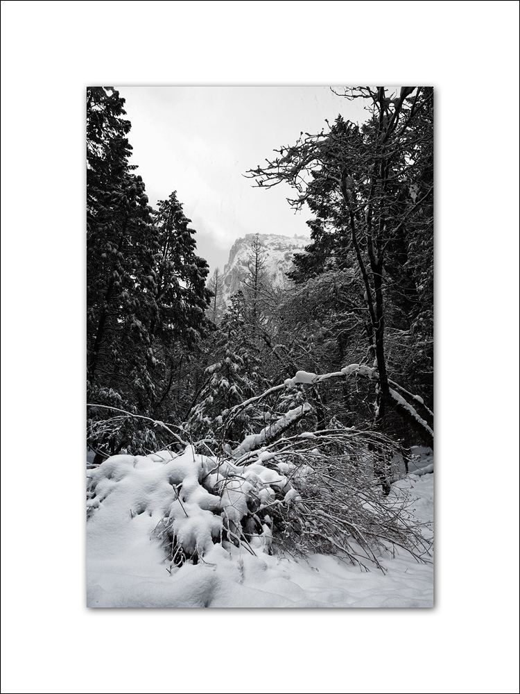 2011 Yosemite 042.jpg