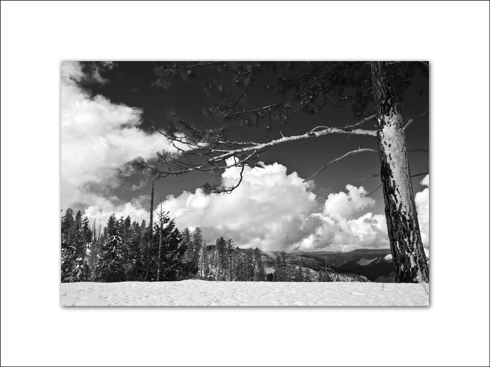 2011 Yosemite 038.jpg